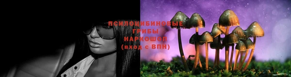 сатива Волоколамск