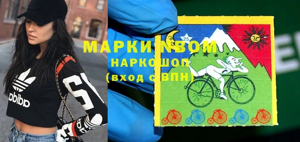 сатива Волоколамск