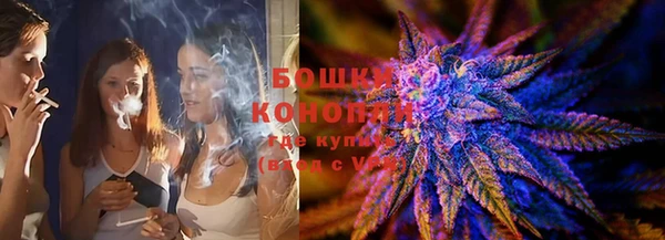 сатива Волоколамск
