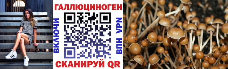 где найти гидра ССЫЛКА Псилоцибиновые грибы мицелий Чулым